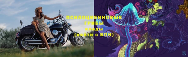 сатива Белокуриха