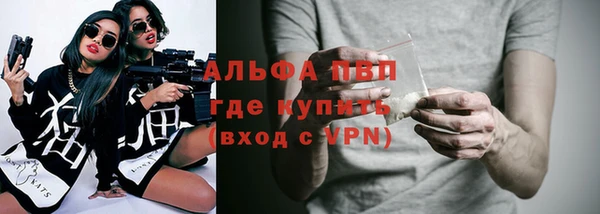 сатива Белокуриха
