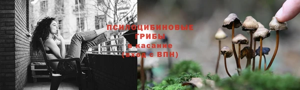 кристаллы Белоозёрский