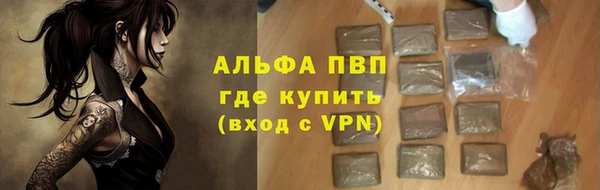 сатива Белокуриха