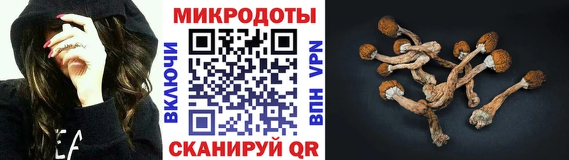 где купить наркоту  Сланцы  Псилоцибиновые грибы Magic Shrooms 